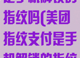 美团指纹支付是手机解锁的指纹吗(美团指纹支付是手机解锁的指纹吗安全吗)