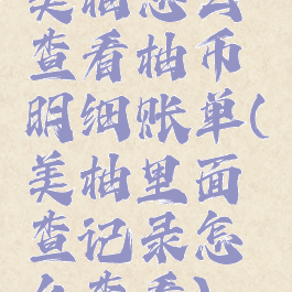 美柚怎么查看柚币明细账单(美柚里面查记录怎么查看)