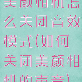 美颜相机怎么关闭音效模式(如何关闭美颜相机的声音)