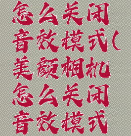 美颜相机怎么关闭音效模式(美颜相机怎么关闭音效模式功能)