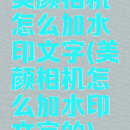 美颜相机怎么加水印文字(美颜相机怎么加水印文字的)