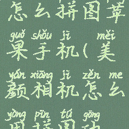 美颜相机怎么拼图苹果手机(美颜相机怎么用拼图功能)