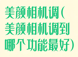 美颜相机调(美颜相机调到哪个功能最好)