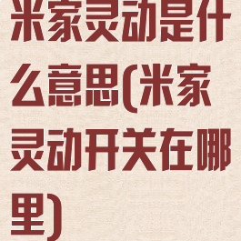 米家灵动是什么意思(米家灵动开关在哪里)