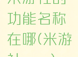 米游社的功能名称在哪(米游社mzr)
