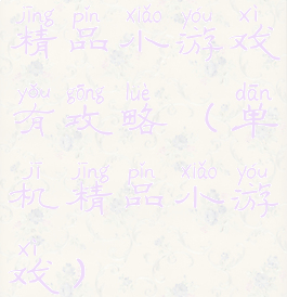 精品小游戏有攻略(单机精品小游戏)