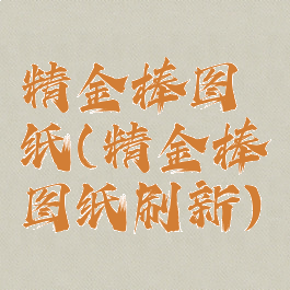 精金棒图纸(精金棒图纸刷新)