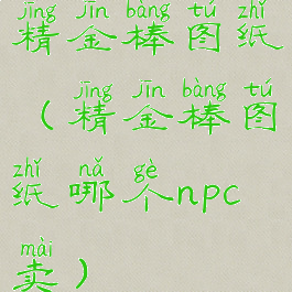 精金棒图纸(精金棒图纸哪个npc卖)