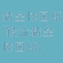 精金棒图纸(锻造精金棒图纸)