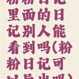 粉粉日记里面的日记别人能看到吗(粉粉日记可以导出吗)