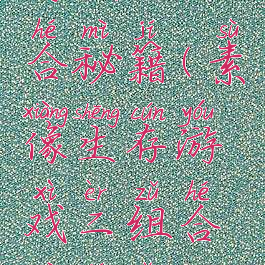 素像生存游戏二组合秘籍(素像生存游戏二组合秘籍怎么获得)