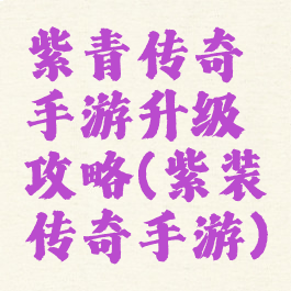 紫青传奇手游升级攻略(紫装传奇手游)