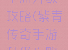 紫青传奇手游升级攻略(紫青传奇手游升级攻略视频)