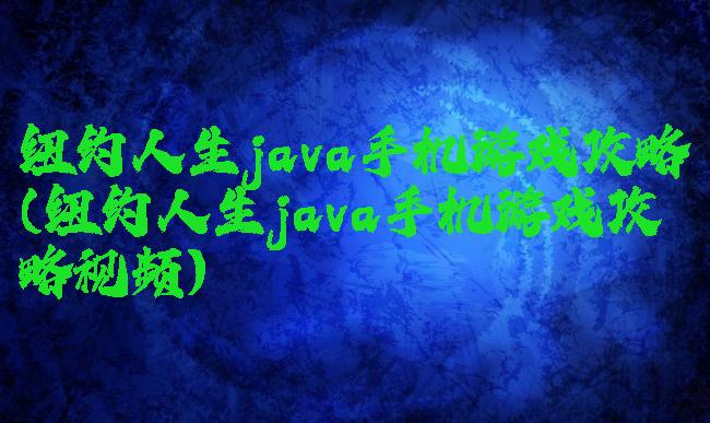 纽约人生java手机游戏攻略(纽约人生java手机游戏攻略视频)