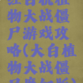 红白机植物大战僵尸游戏攻略(大白植物大战僵尸魔幻版)
