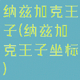 纳兹加克王子(纳兹加克王子坐标)