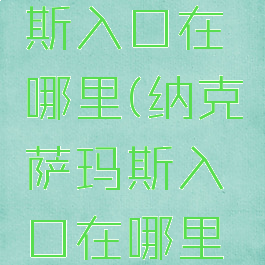 纳克萨玛斯入口在哪里(纳克萨玛斯入口在哪里东瘟疫)