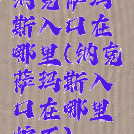 纳克萨玛斯入口在哪里(纳克萨玛斯入口在哪里炉石)