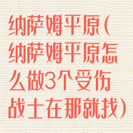 纳萨姆平原(纳萨姆平原怎么做3个受伤战士在那就找)