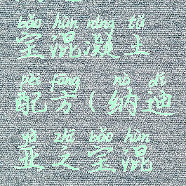 纳迪亚之宝混凝土配方(纳迪亚之宝混凝土配方)