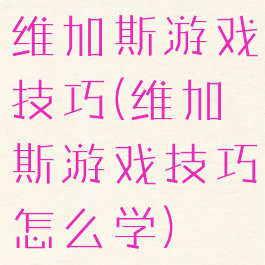 维加斯游戏技巧(维加斯游戏技巧怎么学)