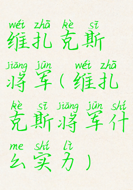 维扎克斯将军(维扎克斯将军什么实力)