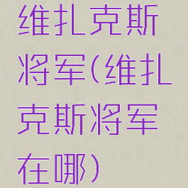 维扎克斯将军(维扎克斯将军在哪)