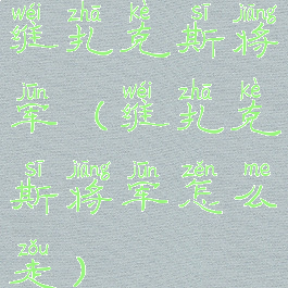 维扎克斯将军(维扎克斯将军怎么走)