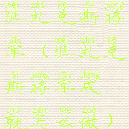 维扎克斯将军(维扎克斯将军成就怎么做)