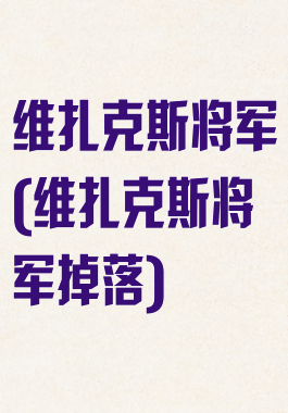 维扎克斯将军(维扎克斯将军掉落)