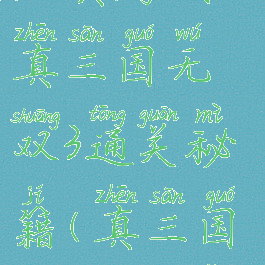 经典游戏真三国无双3通关秘籍(真三国无双3玩法)