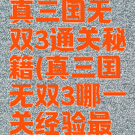 经典游戏真三国无双3通关秘籍(真三国无双3哪一关经验最多)