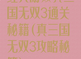经典游戏真三国无双3通关秘籍(真三国无双3攻略秘籍)