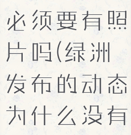 绿洲发动态必须要有照片吗(绿洲发布的动态为什么没有了)