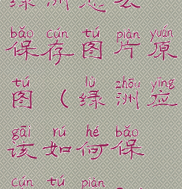 绿洲怎么保存图片原图(绿洲应该如何保存图片?)