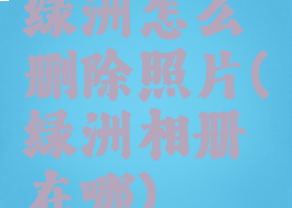 绿洲怎么删除照片(绿洲相册在哪)