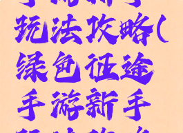 绿色征途手游新手玩法攻略(绿色征途手游新手玩法攻略大全)