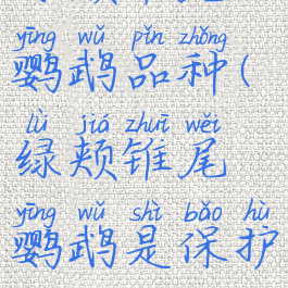 绿颊锥尾鹦鹉品种(绿颊锥尾鹦鹉是保护动物吗)