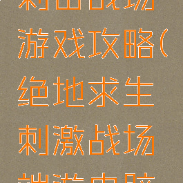 绝地求生刺击战场游戏攻略(绝地求生刺激战场端游电脑版)