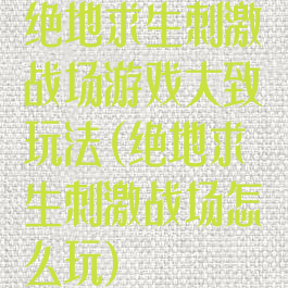 绝地求生刺激战场游戏大致玩法(绝地求生刺激战场怎么玩)