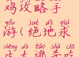 绝地求生吃鸡攻略手游(绝地求生大逃杀吃鸡手机版)