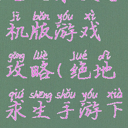 绝地求生手机版游戏攻略(绝地求生手游下)