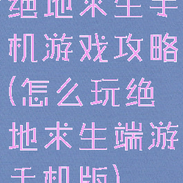 绝地求生手机游戏攻略(怎么玩绝地求生端游手机版)