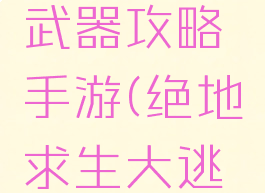 绝地求生武器攻略手游(绝地求生大逃杀武器)