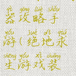 绝地求生武器攻略手游(绝地求生游戏装备)