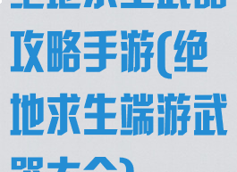 绝地求生武器攻略手游(绝地求生端游武器大全)