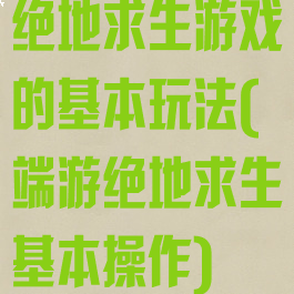 绝地求生游戏的基本玩法(端游绝地求生基本操作)