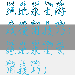 绝地求生游戏使用技巧(绝地求生实用技巧)