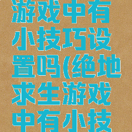 绝地求生游戏中有小技巧设置吗(绝地求生游戏中有小技巧设置吗)