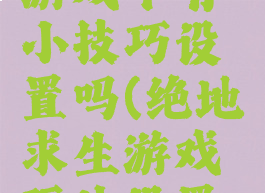 绝地求生游戏中有小技巧设置吗(绝地求生游戏玩法设置技巧)